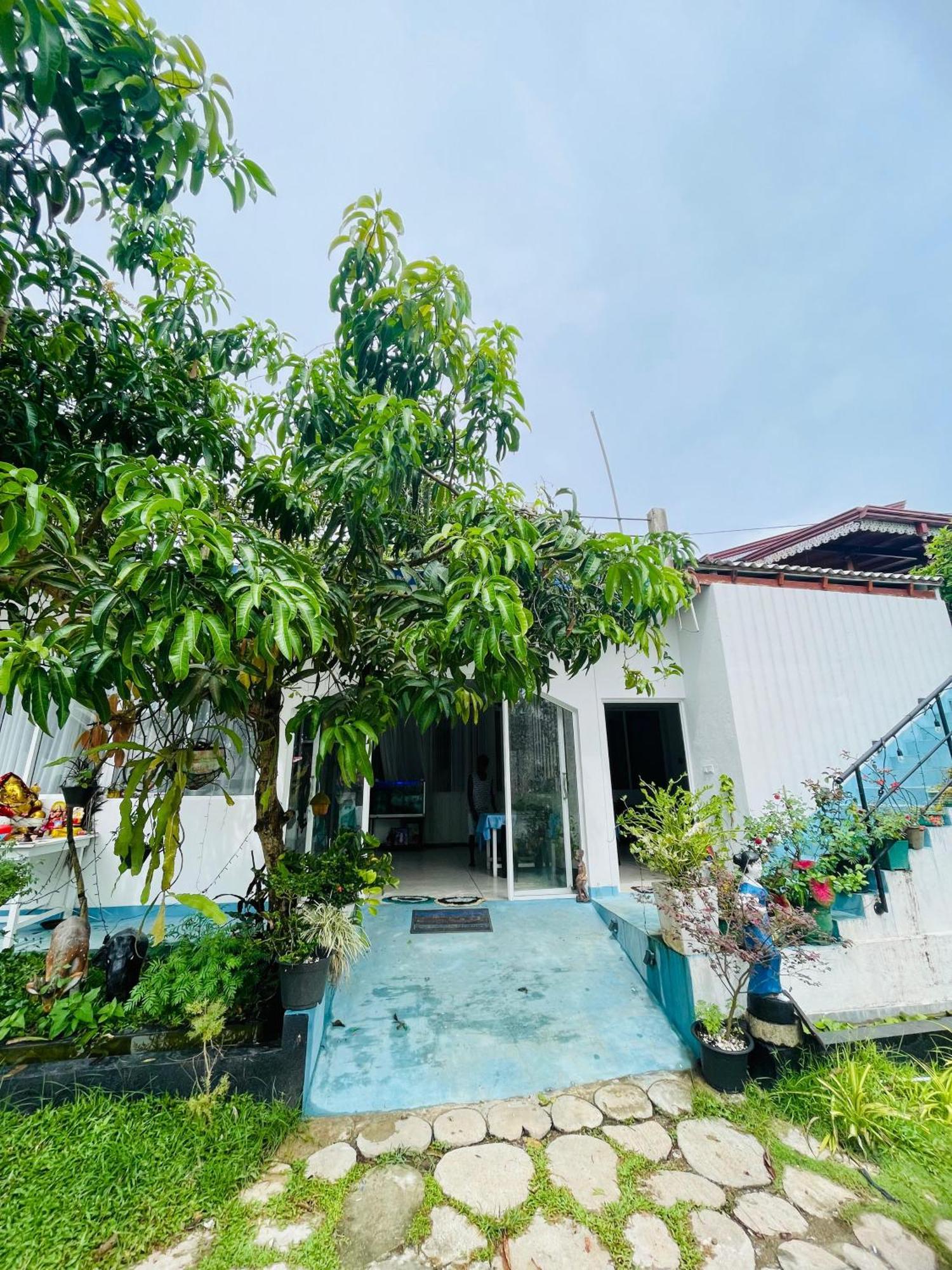 Moon Light Guest Mirissa Exterior foto
